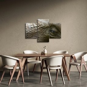 Kép - Közelkép az öreg elefánt szeméről (90x60 cm)