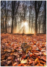 Poszterek 70x100 Kihalás fenyegeti