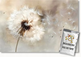 Fotótapéta Flizelina Akvarell Bézs Boho Virág Pitypang Pehely 150x105 ragasztó