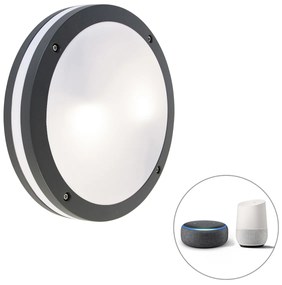 Okos fali és mennyezeti lámpa sötétszürke, WiFi-vel A60 - Glow