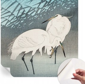 Öntapadós tapéta Divatos 3D fali ragasztóval Finom madarak 250x250 cm