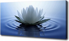 Canvas falikép Vízi liliom 120x60 cm