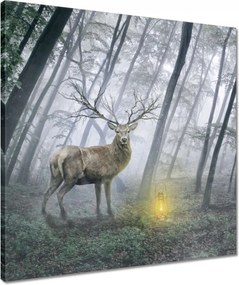 Vászonkép 50x50 Szarvas az erdőben