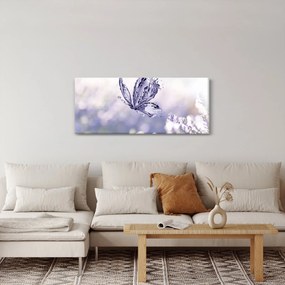 Kép - Pillangó és levendula (120x50 cm)