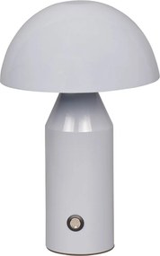 Led asztali lámpa 2W Dorbia TB-83647-GR Italux
