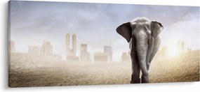 Kép - Elefánt egy nagyvárosban (120x50 cm)
