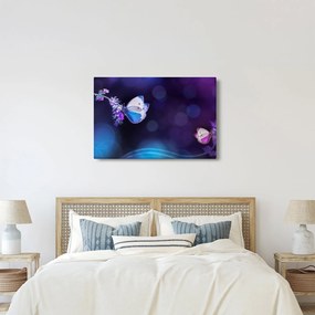 Kép - Pillangók a levendulán (90x60 cm)