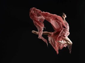 Fotográfia Ballet dancer wearing flowing dress in, Ryan McVay