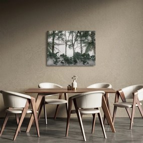 Kép - dzsungel a reggeli ködben (üvegen) (70x50 cm)