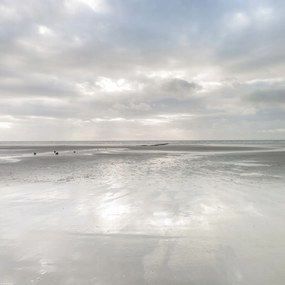 Poszter 40x40cm Naplemente, Assaf Frank