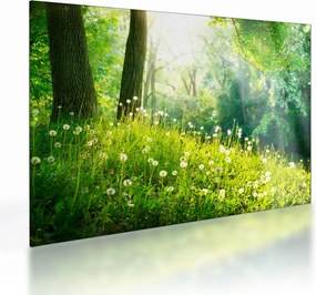 Üveg kép - Varázslatos rét tele pitypanggal (70x50 cm)