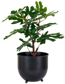 Fügefa műnövény 60 cm
