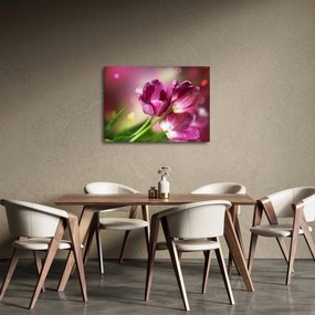 Rózsaszín tulipánok képe (70x50 cm)