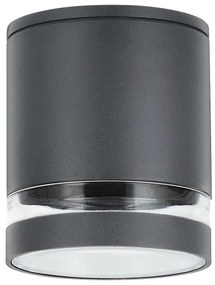 Rabalux 7817 - Kültéri spotlámpa ZOMBOR 1xGU10/35W/230V kerek IP54