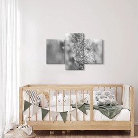 Kép - Boho pampafű (90x60 cm)