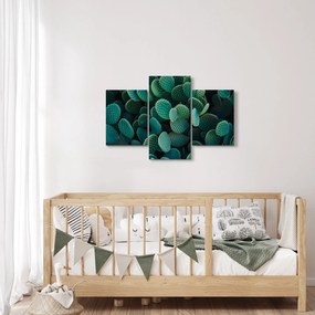 Kép - Opuntia (90x60 cm)