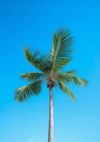 Poszter 70x100cm Ăgi magaslatok