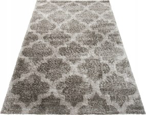 Shaggy Szőnyeg 120x170 Modern Puha Szőrös 32