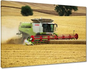 Våszonkép 100x70 Claas kombåjn kaszålja az aratåst