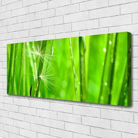 Vászonkép falra Grass Nature Plant 125x50 cm