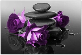 Poszterek 120x80 Lila rózsák Spa kő