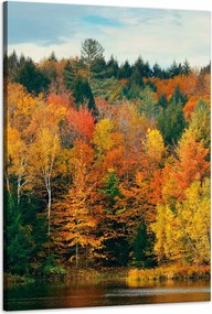 Vászonkép Színes Levelek Fák Ősz Természet 60x90 cm