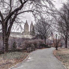 Poszter 40x40cm Ösvény a központi parkon át 2, Assaf Frank