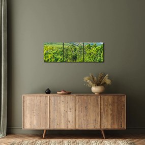 Kép - Babi Hora, Lengyelország (órával) (90x30 cm)