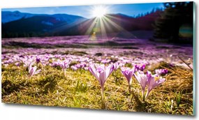 Fotó üvegkép Tengeri szem Tátra 125x50