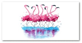 Akrilkép Flamingók oah-98015396