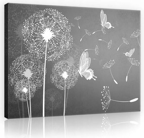 Vászonkép pitypang falikép 100x75