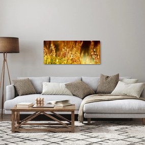 Kép - Harmat részlete (120x50 cm)