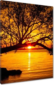 Vászonkép 60x80 Tengerpart Fa Tenger