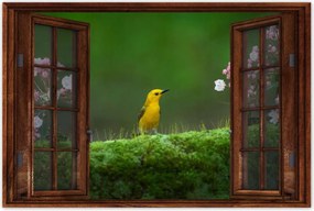 Poszterek 90x60 Madárka