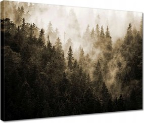 Vászonkép 40x30 Tájkép Szépia Hegyek Köd