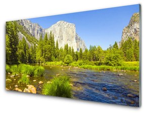 Akrilkép Forest Lake Mountain Nature 100x50 cm 2 fogas