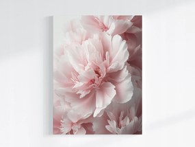 Vászonkép Canvas Természet Virágok Rózsaszín Bazsarózsa Peonie Makró 75x100
