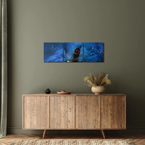 Kép - Koronás galamb (órával) (90x30 cm)