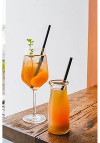 6 db-os fekete üveg szívószál készlet, hosszúság 20 cm - Vialli Design