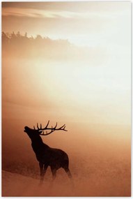 Poszterek 80x120 Szarvas az erdő szélén