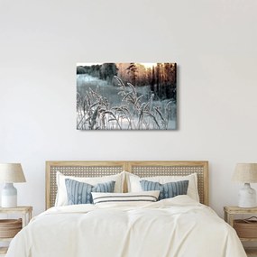 Kép - Fagyott rét (90x60 cm)