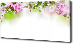 Vászonkép Tavaszi virágok 100x70 cm
