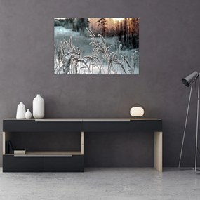 Kép - Fagyott rét (90x60 cm)