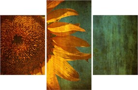 Kép - napraforgó (90x60 cm)