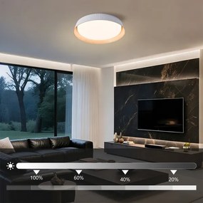 BRILAGI - LED dimmelhető mennyezeti lámpatest ORINO LED/54W/230V 3000-6000K fehér átm. 43 cm + távirányító