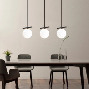 Üzüm - 6281