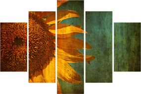 Kép - napraforgó (150x105 cm)