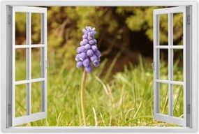 Poszter 60x40 Lila virág