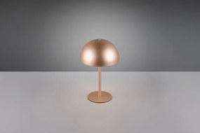 Bronzszínű LED asztali lámpa fém búrával (magasság 21 cm) Munoz – Reality