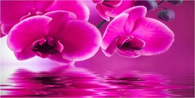 Fotó vászonkép edzett üveg Orchidea 140x70